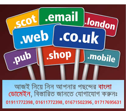 ভাষার মাসে বাংলা ডোমেইন - আপনিও পেতে পারেন সুন্দর কিছু ডোমেইন! 